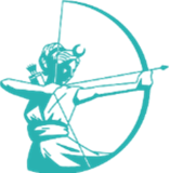Artemis Cystitis Ltd